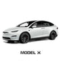 Model X